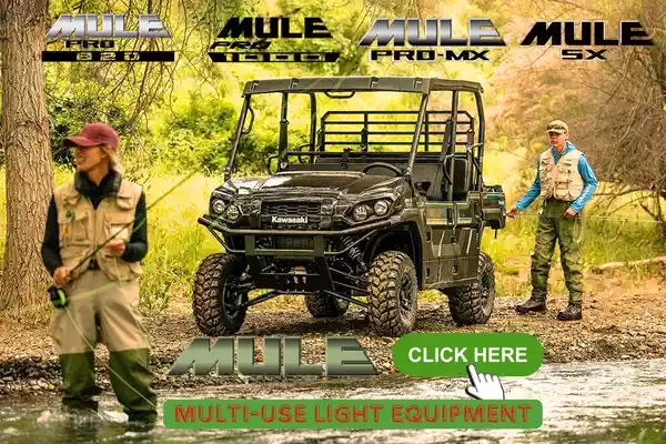 Mule